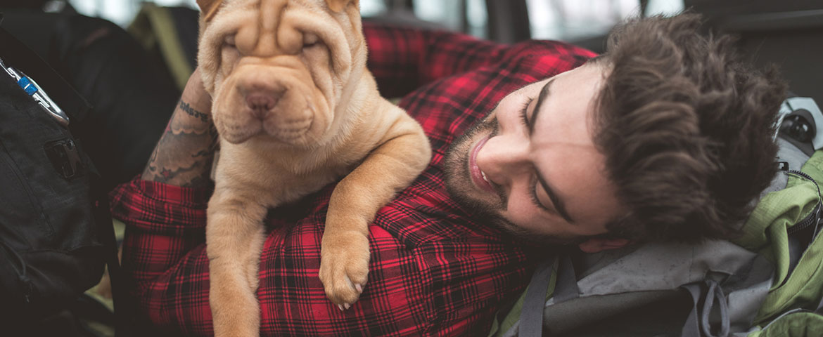 documents pour l’achat d’un chat ou chien de race
