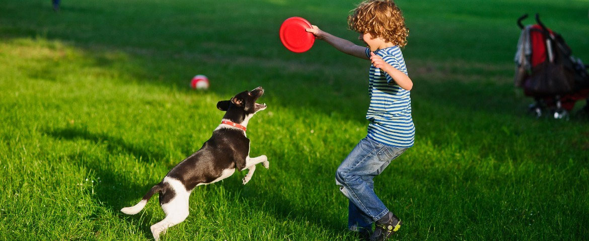 Sport à pratiquer avec son chien