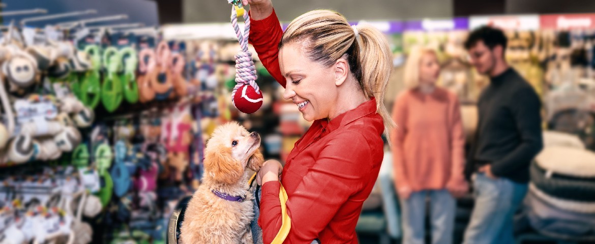 Coût d'un chat par mois