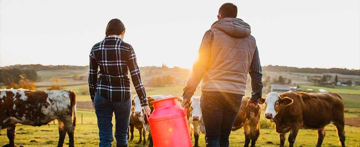 La retraite du conjoint collaborateur d'agriculteur