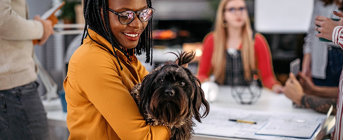 assurance pour travailler avec son chien