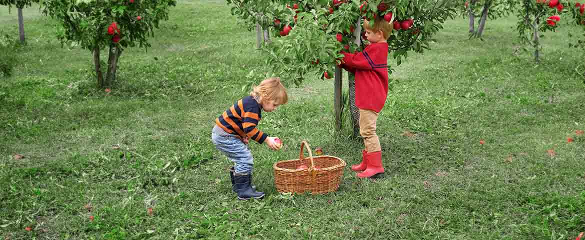 Fonds Croissance : le « petit frère du fonds en euros »