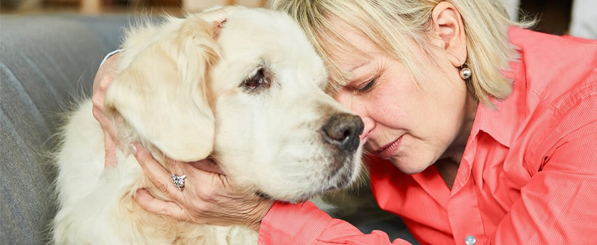 Euthanasier son chien