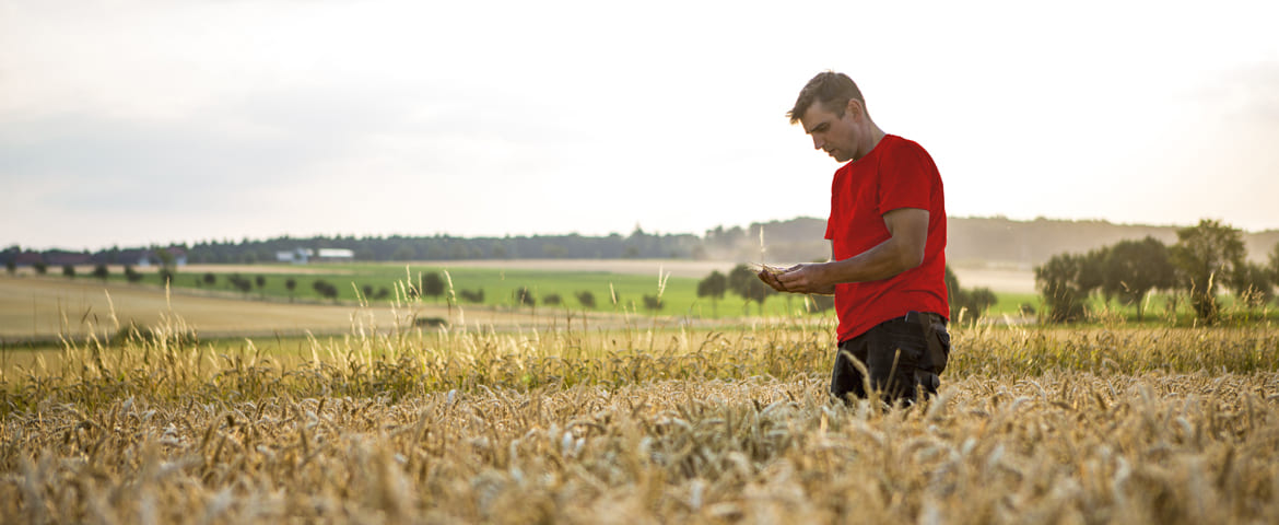 Un agriculteur face aux difficultés financières