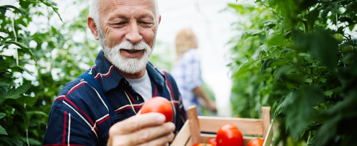 Régimes de retraite des agriculteurs
