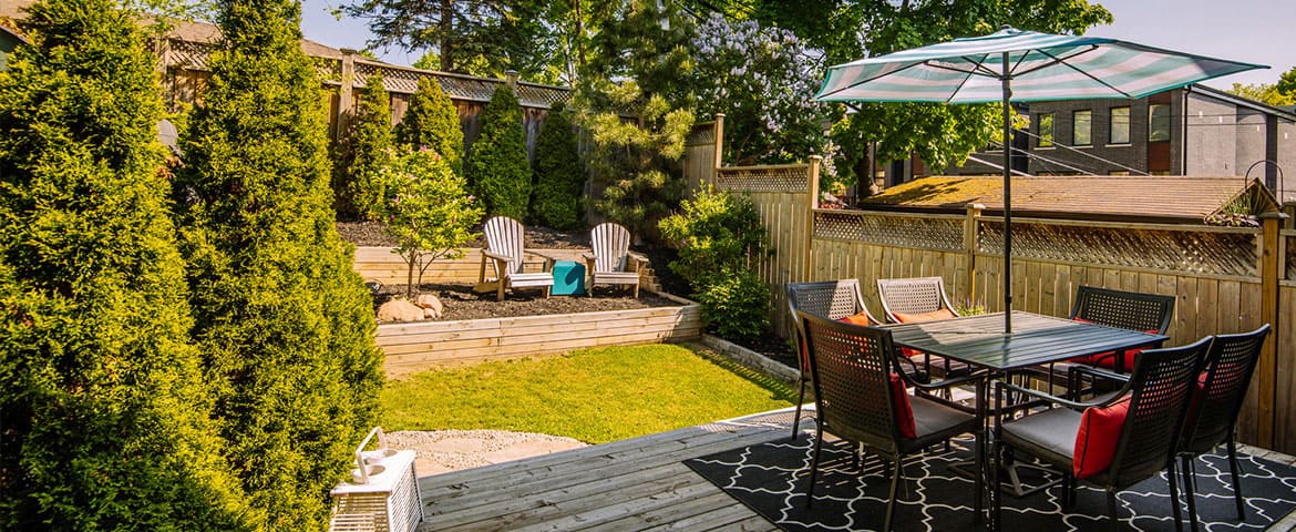 Arbres contre la sécheresse