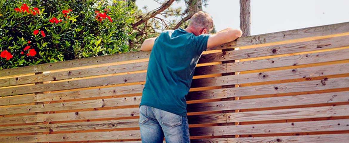 Elagage arbres mitoyens 