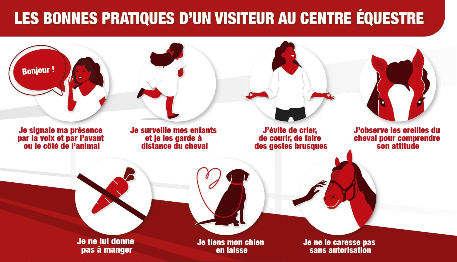 comportements centre équestre