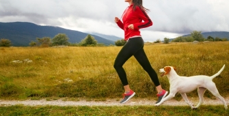 Article - assurance chien et chat - courir avec son chien