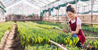 femme sous un serre - agricole
