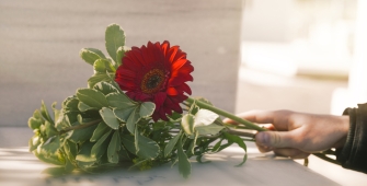 Article - assurance obsèques - réduction de corps