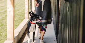 Une femme qui balade son chien