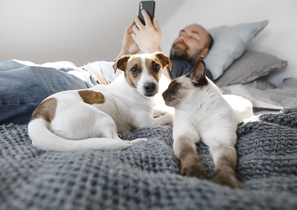 un chien et un chat sur un lit